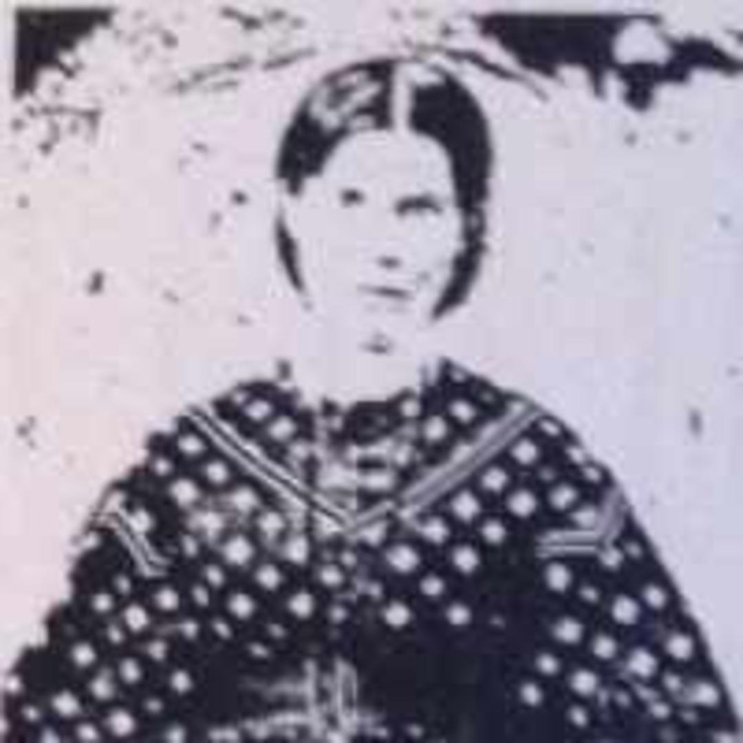 Phebe Jane Cummings (1848 - 1903) Profile
